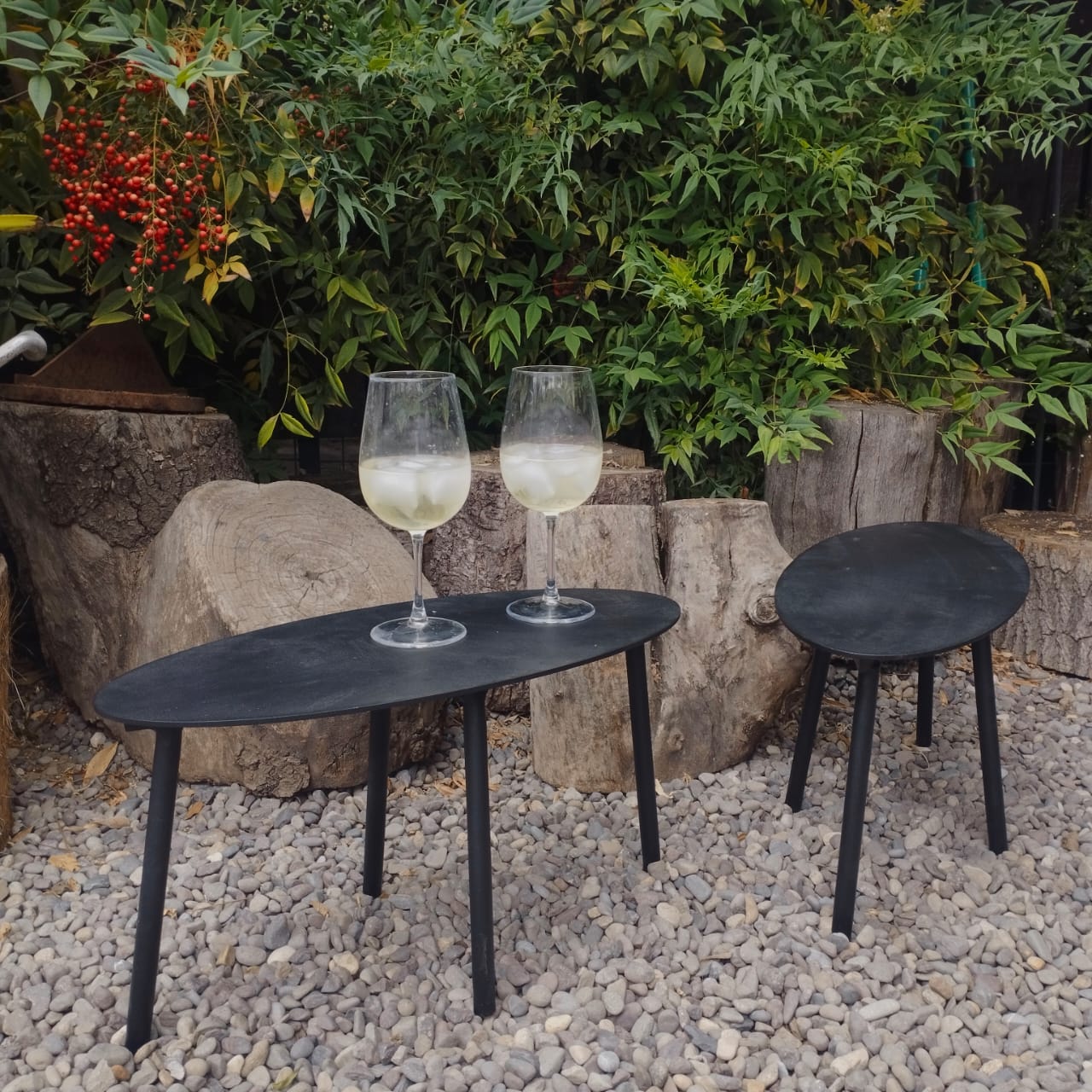 Imagen de WhatsApp 2025-01-06 a las 20.15.43_3632d254 – copia