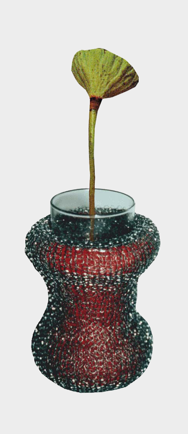 s-Virutilla,2000 copia