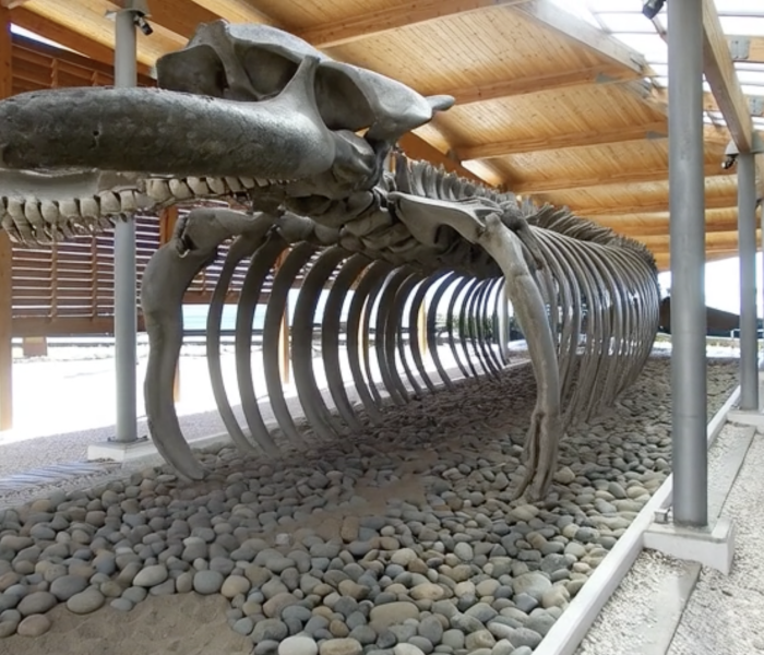 Captura de pantalla 2026-01-10 a la(s) 7.41.28 p.m.