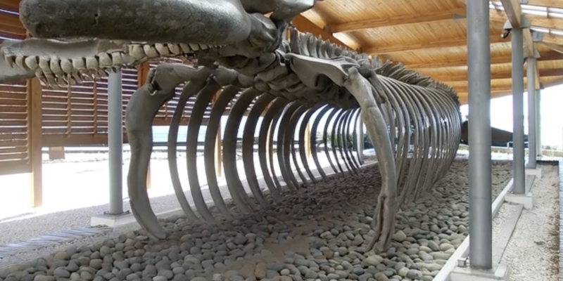 Captura de pantalla 2026-01-10 a la(s) 7.41.28 p.m.